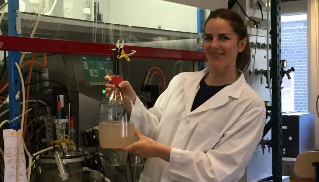 Monica Conthe is growing greenhouse gas consuming bacteria. (Photo: NORA)