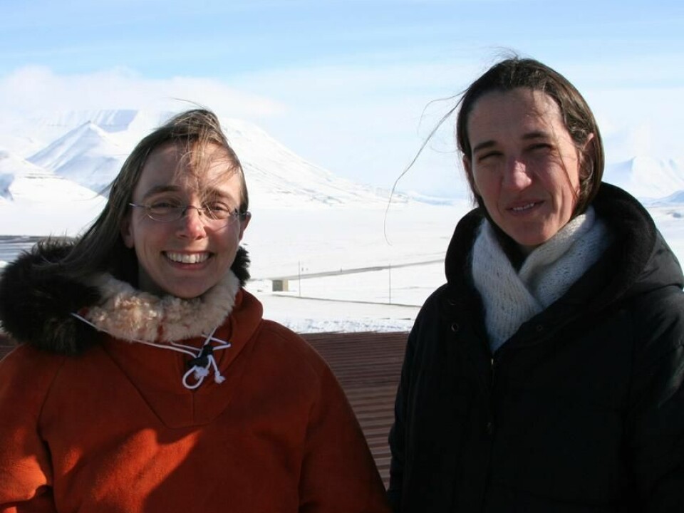 The Norwegian part of the research team: Inger Greve Alsos and Dorothee Ehrich. (Photo: Eva Therese Jenssen)