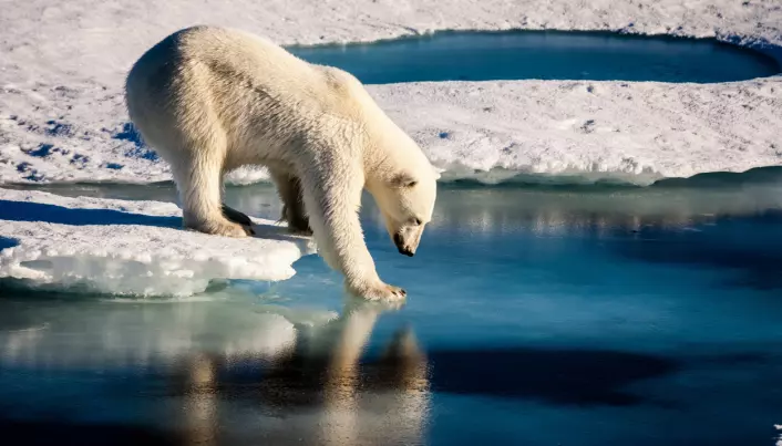 When will the Arctic be ice free?