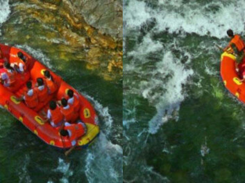 Rafting before and after the photo has been changed. Can you spot the differences? (Photo: Steven Le Moan, NTNU) Rafting before and after the photo has been changed. Can you spot the differences? (Photo: Steven Le Moan, NTNU)