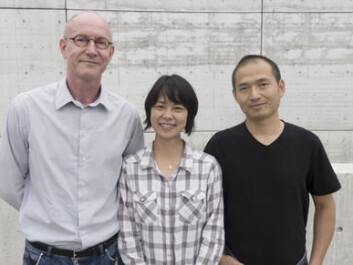 (from left) Karl-Henning Kalland, Yi Qu and Xisong Ke experiment with chemicals and drugs to find new treatments for cancer. (Photo: Kim E. Andreassen) (from left) Karl-Henning Kalland, Yi Qu and Xisong Ke experiment with chemicals and drugs to find new treatments for cancer. (Photo: Kim E. Andreassen)