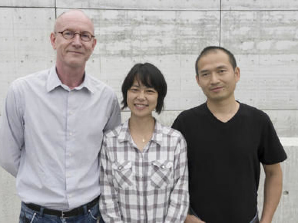 (from left) Karl-Henning Kalland, Yi Qu and Xisong Ke experiment with chemicals and drugs to find new treatments for cancer. (Photo: Kim E. Andreassen)