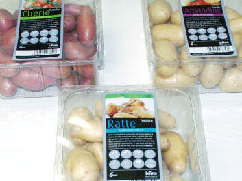 Today more than fifty different varieties of potato can be found in Norwegian shops during the course of the year. (Photo: Audun Iversen, Nofima) Today more than fifty different varieties of potato can be found in Norwegian shops during the course of the year. (Photo: Audun Iversen, Nofima)