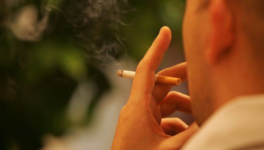 If you smoke as a young man, your future offspring will have a higher risk of getting astma. (Photo: Colourbox) If you smoke as a young man, your future offspring will have a higher risk of getting astma. (Photo: Colourbox)