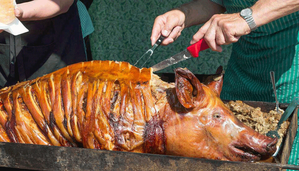 The picture of a roasted pork with head caused empathy with the animal - and disgust for the meat. The researchers think that their findings might cut down meat consumption. Photo illustration: Kunst & Hohle