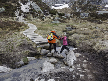 Limitless joys is what Reusch calls the public access to land. (Photo:Colourbox) Limitless joys is what Reusch calls the public access to land. (Photo:Colourbox)