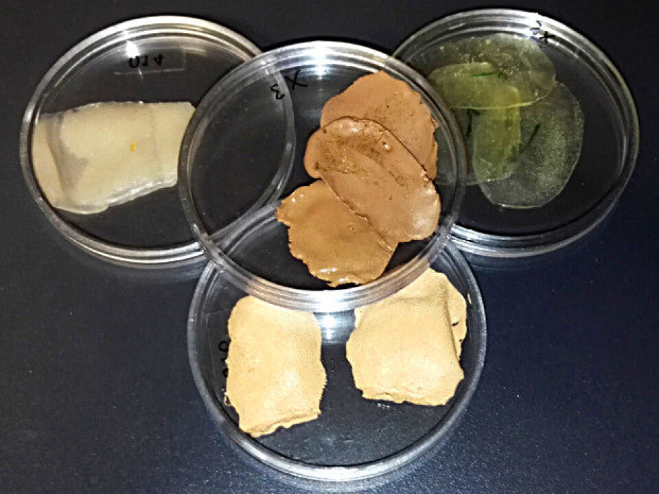 These are the kinds of materials used to make fake fingerprints. Photo: Ctirad Sousedik These are the kinds of materials used to make fake fingerprints. Photo: Ctirad Sousedik