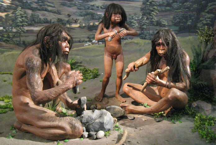 Ifølge Peter C. Kjærgaard skjedde tapet av kroppshår gradvis, og skjøt for alvor fart da Homo erectus jaktet på dyr på savannen. Ifølge Peter C. Kjærgaard skjedde tapet av kroppshår gradvis, og skjøt for alvor fart da Homo erectus jaktet på dyr på savannen.