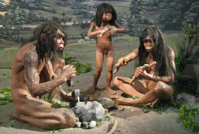 Ifølge Peter C. Kjærgaard skjedde tapet av kroppshår gradvis, og skjøt for alvor fart da Homo erectus jaktet på dyr på savannen.