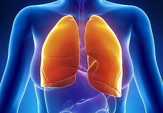 Declining lung function in menopausal women