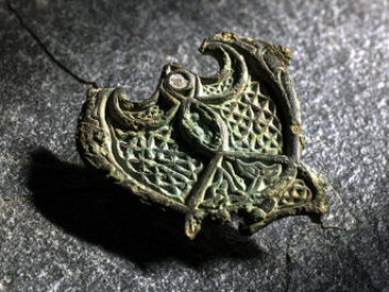 In 2016, this piece of jewellery was found in the soil at Agdenes farm, situated at the outermost part of the Trondheim Fjord in Mid-Norway. (Photo: Åge Hojem/NTNU University Museum) In 2016, this piece of jewellery was found in the soil at Agdenes farm, situated at the outermost part of the Trondheim Fjord in Mid-Norway. (Photo: Åge Hojem/NTNU University Museum)