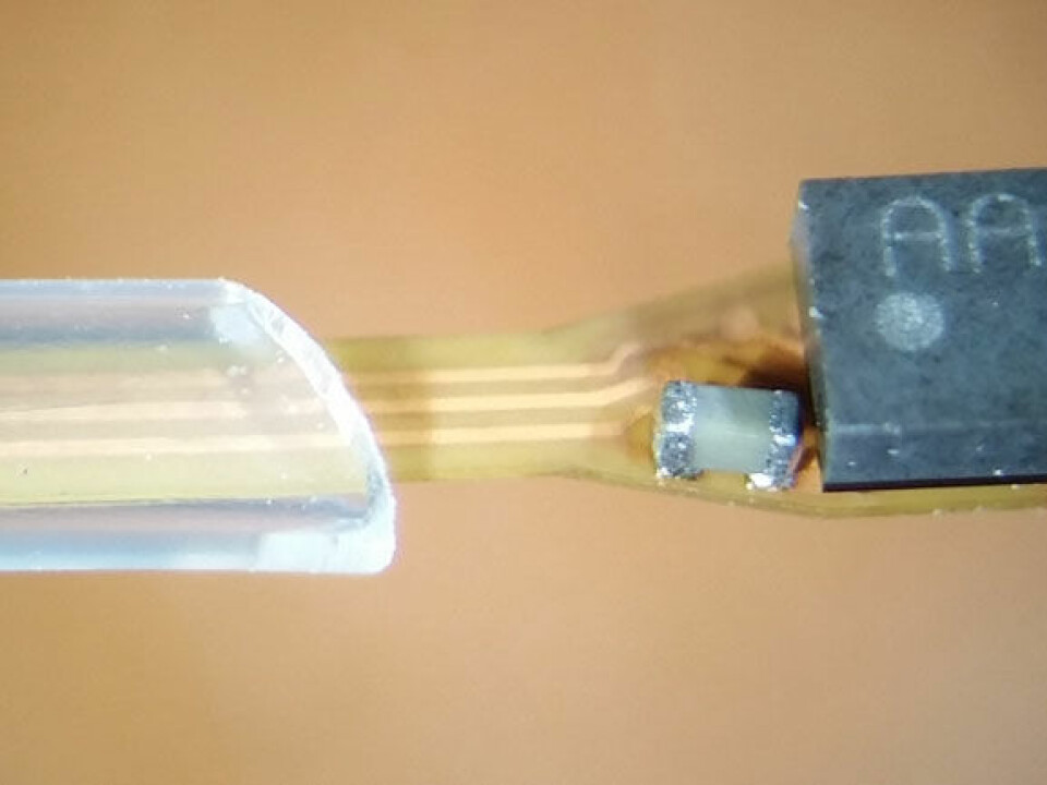 The sensor element (right) is attached to a flexible polyimide based substrate which is encapsulated in biocompatible insulation. (Photo: Department of Micro and Nanosystem Technology / USN)