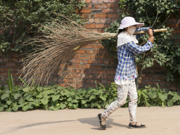 Also in the rural areas some citizens in China use face-masks to filter the air they breathe. (Copy right: Airborne. Photo: Kristin Aunan) Also in the rural areas some citizens in China use face-masks to filter the air they breathe. (Copy right: Airborne. Photo: Kristin Aunan)