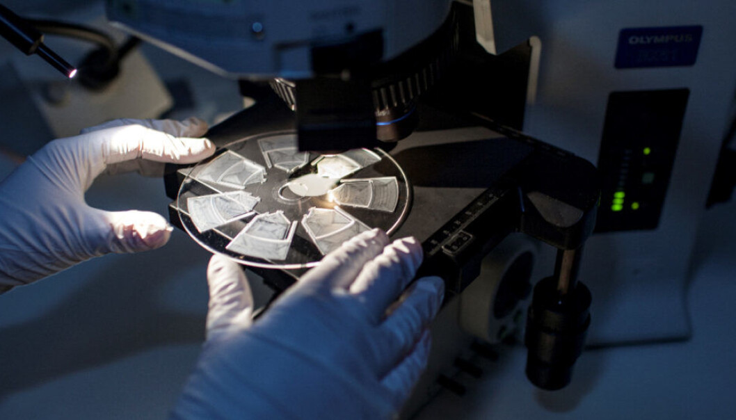 This new analytical technique will make it easier for doctors to provide patients with safe and correct antibiotic treatments. The test analyses a patient’s blood samples by scanning across a specially designed disc-shaped cartridge which is about the same size as a traditional CD. But instead of audio tracks, the cartridge is equipped with small channels and compartments in which the blood sample reacts with a selection of allergens. Photo: Remy Eik-Nikolaisen This new analytical technique will make it easier for doctors to provide patients with safe and correct antibiotic treatments. The test analyses a patient’s blood samples by scanning across a specially designed disc-shaped cartridge which is about the same size as a traditional CD. But instead of audio tracks, the cartridge is equipped with small channels and compartments in which the blood sample reacts with a selection of allergens. Photo: Remy Eik-Nikolaisen