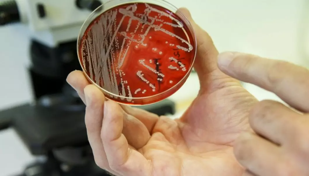 How can we manage multi-resistant bacteria? (Illustrative photo: Cornelius Poppe / NTB scanpix)