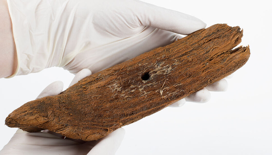 The toy boat had a hole in the middle where a mast could have been stepped, allowing a child to sail the boat. (Photo: Åge Hojem, NTNU University Museum) The toy boat had a hole in the middle where a mast could have been stepped, allowing a child to sail the boat. (Photo: Åge Hojem, NTNU University Museum)