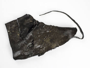 One of the most complete shoes from this time period found at the Ørland site. (Photo: Åge Hojem, NTNU University Museum) One of the most complete shoes from this time period found at the Ørland site. (Photo: Åge Hojem, NTNU University Museum)