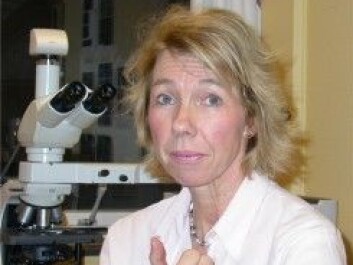 Prof. Inger Nina Farstad. (Photo: Oslo University Hospital) Prof. Inger Nina Farstad. (Photo: Oslo University Hospital)