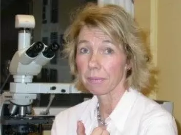 Prof. Inger Nina Farstad. (Photo: Oslo University Hospital)