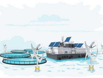 Could this be the fish farms of the future? (Illustration: Ole André Haug, UiS/NettOp) Could this be the fish farms of the future? (Illustration: Ole André Haug, UiS/NettOp)