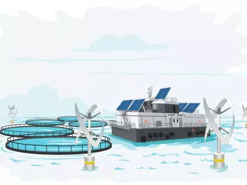 Could this be the fish farms of the future? (Illustration: Ole André Haug, UiS/NettOp)