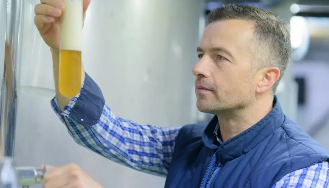 In 2004, few gluten free products were to be found in regular stores.
But Kasper Christensen's robot had found the idea for a gluten free beer in a discussion forum online. (Illustrative photo: Shutterstock / Scanpix)