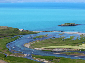 The point at the mouth of the estuary is the place where the harbour lay and the booths stood from the Viking to the Middle Ages. The peninsula Elínarholmi is visible in the background. Boats and ships have been able to lay anchor in the shelter of strong northern winds. (Photo: Hörður Geirsson) The point at the mouth of the estuary is the place where the harbour lay and the booths stood from the Viking to the Middle Ages. The peninsula Elínarholmi is visible in the background. Boats and ships have been able to lay anchor in the shelter of strong northern winds. (Photo: Hörður Geirsson)