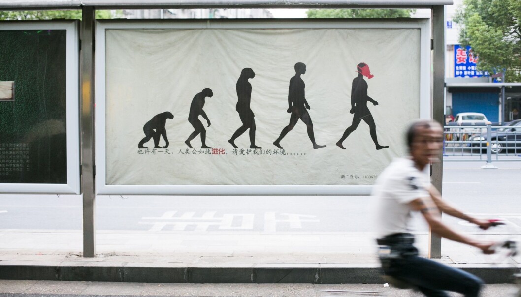 Maybe humanity will evolve like this. Please take care of the environment. (Illustrative photo: Annica Thomsson) Maybe humanity will evolve like this. Please take care of the environment. (Illustrative photo: Annica Thomsson)
