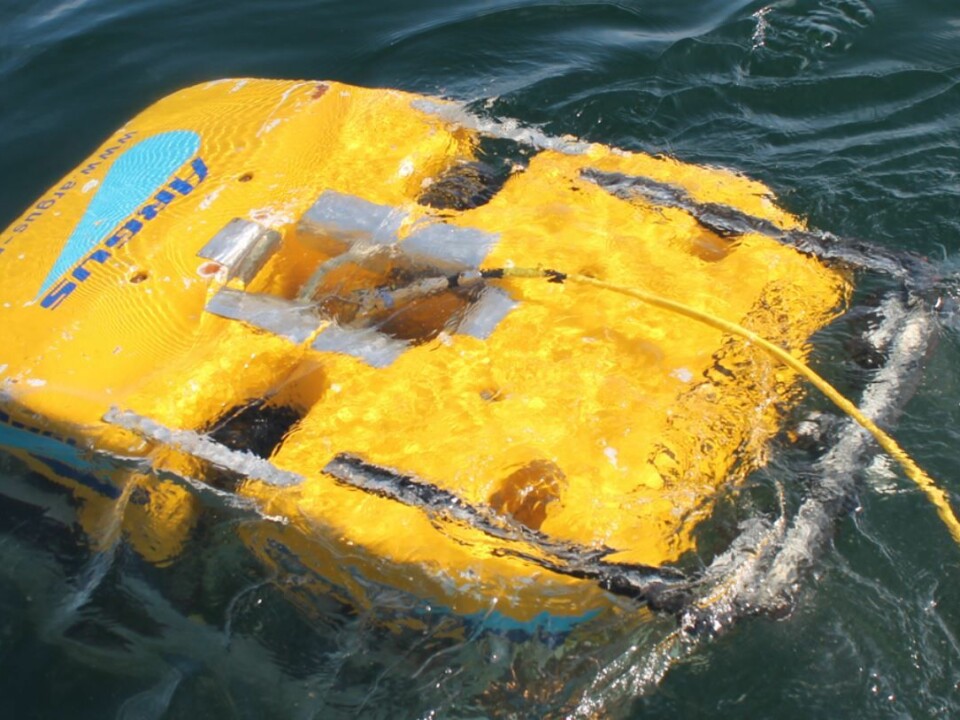 This ROV is being trained to inspect net pens below the water surface. (Photo: Sintef)