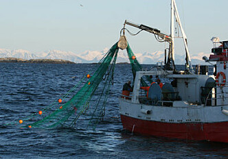 Fishermen want cod
