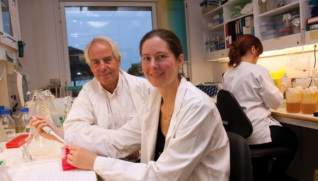“The new invention Vaccibody can also be used to make vaccines against flu,” say PhD student Gunnveig Grødeland and Professor Bjarne Bogen. (Photo: Yngve Vogt) “The new invention Vaccibody can also be used to make vaccines against flu,” say PhD student Gunnveig Grødeland and Professor Bjarne Bogen. (Photo: Yngve Vogt)