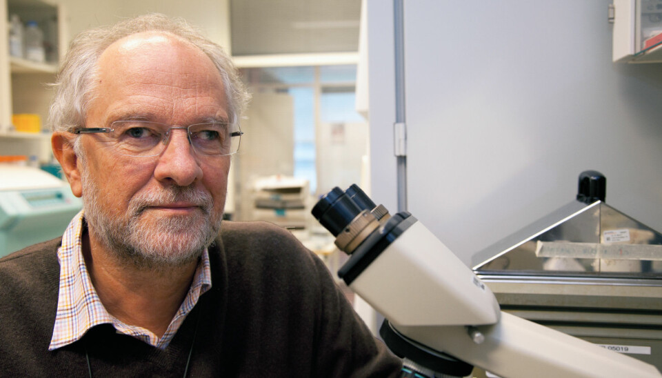 Professor Gustav Gaudernack hopes that his most recent cancer vaccine can be used against all types of cancer. (Photo: Yngve Vogt)