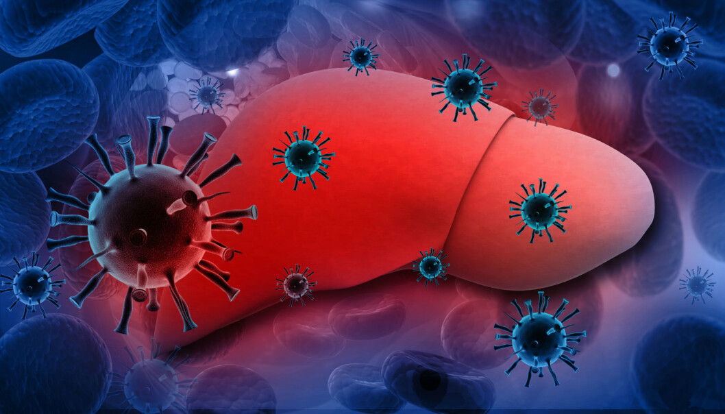 When the protein IRGM is removed from the liver cells, the virus is unable to grow. (Illustration: Colourbox) When the protein IRGM is removed from the liver cells, the virus is unable to grow. (Illustration: Colourbox)