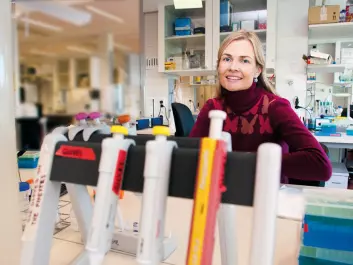 Professor Johanna Olweus has discovered a new method of using the immune system to attack cancer. (Photo: Yngve Vogt)