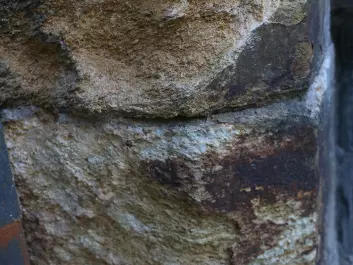 This close-up shows pitting and weathering of the Grytdal stone in the cathedral walls. Geologist Per Storemyr described the stone as “literally rusting to pieces” and that it should have never been used as building stone. (Photo: Nancy Bazilchuk/NTNU)