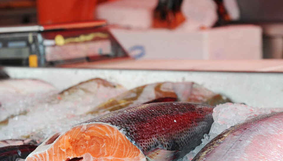 Norwegian salmon farming is a global winner. (Photo: Colourbox)