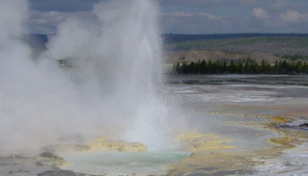 Clepsyda-geysiren i Yellowstone. Daniel Mayer/Wikimedia Commons Clepsyda-geysiren i Yellowstone. Daniel Mayer/Wikimedia Commons