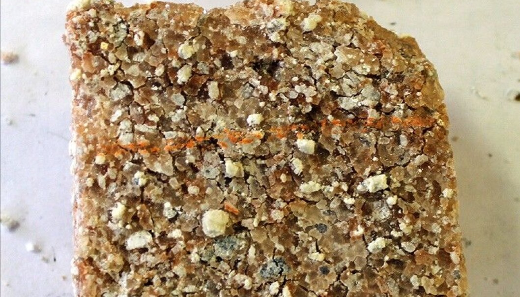 Salts from ancient seas reveal information about the oxygenation of the Earth’s atmosphere. Fragments of calcium sulfate are embedded in this sample. (Photo: Kärt Paiste) Salts from ancient seas reveal information about the oxygenation of the Earth’s atmosphere. Fragments of calcium sulfate are embedded in this sample. (Photo: Kärt Paiste)