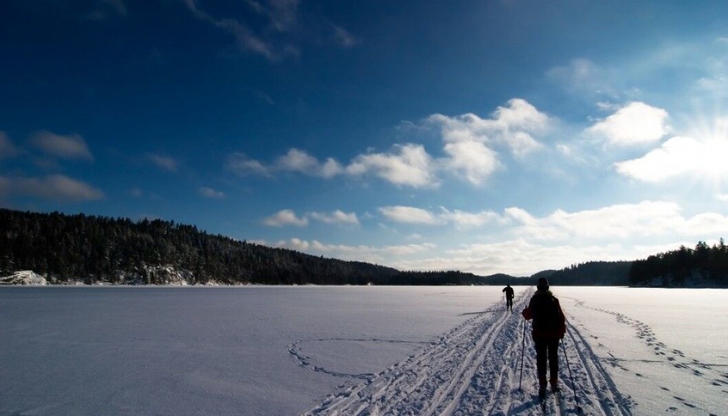 (Illustrative photo: Shutterstock / NTB Scanpix) (Illustrative photo: Shutterstock / NTB Scanpix)