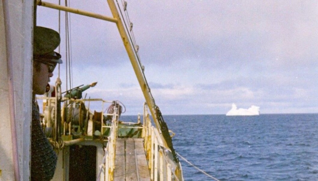 Åsmund Bjordal, who found the 1971 report by coincidence, was a crewmember on a whaling ship off the coast of Labrador in 1970. This photo shows the harpoonist in the wheelhouse when the vessel M/V Landkjenning was near Greenland. (Photo: Åsmund Bjordal) Åsmund Bjordal, who found the 1971 report by coincidence, was a crewmember on a whaling ship off the coast of Labrador in 1970. This photo shows the harpoonist in the wheelhouse when the vessel M/V Landkjenning was near Greenland. (Photo: Åsmund Bjordal)