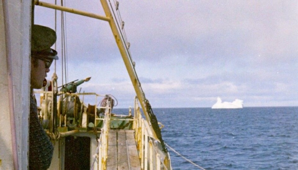 Åsmund Bjordal, who found the 1971 report by coincidence, was a crewmember on a whaling ship off the coast of Labrador in 1970. This photo shows the harpoonist in the wheelhouse when the vessel M/V Landkjenning was near Greenland. (Photo: Åsmund Bjordal)