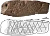 Archaeologists find the world’s oldest drawing