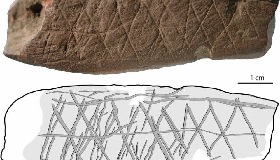 Crosshatched patterns engraved into pieces of ochre have also been found in the same layers as #L13 in Blombos Cave. (Illustration: Journal of Human Evolution)