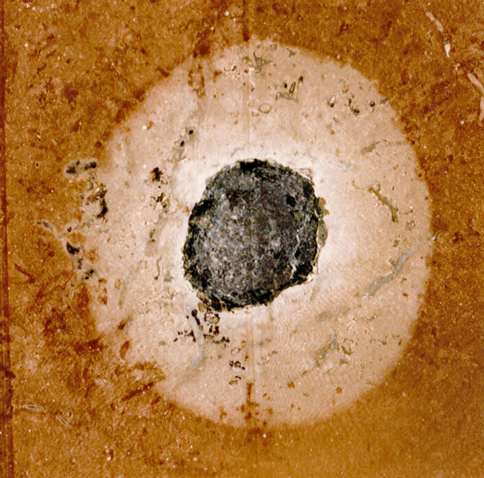 En asteroiderest bevart i et stykke rød sandstein funnet i et steinbrudd i Kinnekulle i Sør-Sverige. (Foto: Maurits Lindström) En asteroiderest bevart i et stykke rød sandstein funnet i et steinbrudd i Kinnekulle i Sør-Sverige. (Foto: Maurits Lindström)