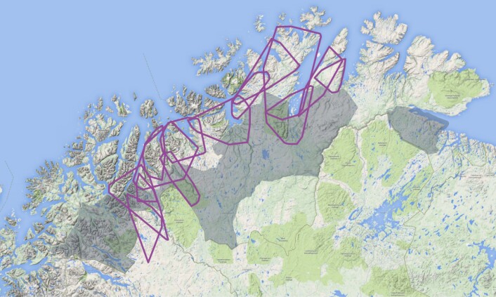 Kartet viser et utvalg årlige leveområder (lilla polygon) for voksne hunngauper fulgt med GPS-sendere i Troms og Finnmark fra 2007-2013. De grå områdene er gaupeprioriterte områder (A-område) mens områdene uten farge er prioritert for beite. (Foto: (Illustrasjon: Scandlynx)) Kartet viser et utvalg årlige leveområder (lilla polygon) for voksne hunngauper fulgt med GPS-sendere i Troms og Finnmark fra 2007-2013. De grå områdene er gaupeprioriterte områder (A-område) mens områdene uten farge er prioritert for beite. (Foto: (Illustrasjon: Scandlynx))