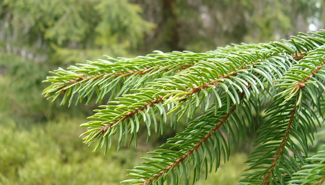 Scientists are now trying to create a climate-friendly alternative to plastics from renewable resources - bioplastic and MFC. (Photo: Morguefile) Scientists are now trying to create a climate-friendly alternative to plastics from renewable resources - bioplastic and MFC. (Photo: Morguefile)