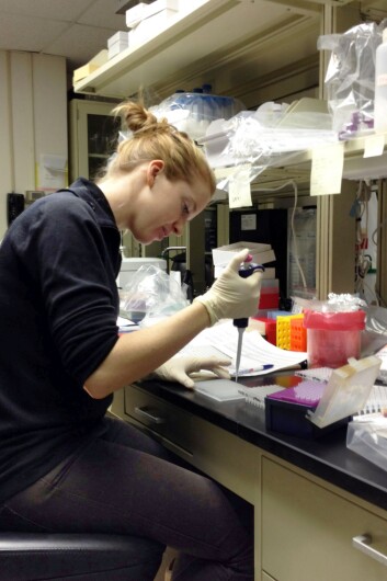 Jenny Bogstad Søvik gjennomførte genanalyser ved Vieira-laboratoriet ved University of Pittsburgh. (Foto: privat) Jenny Bogstad Søvik gjennomførte genanalyser ved Vieira-laboratoriet ved University of Pittsburgh. (Foto: privat)