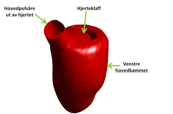 Forskerne har laget en god 3D simuleringsmodell av et menneskehjerte. Her kan de drive blodstrømningssimuleringer. (Foto: (Illustrasjon: SINTEF)) Forskerne har laget en god 3D simuleringsmodell av et menneskehjerte. Her kan de drive blodstrømningssimuleringer. (Foto: (Illustrasjon: SINTEF))