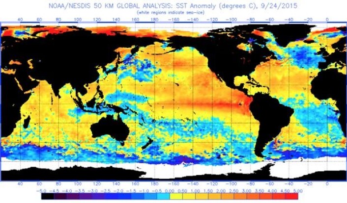 Slik var havoverflatetemperaturen (avvik fra normalen) rundt om på kloden vår denne uken. (Bilde: NOAA) Slik var havoverflatetemperaturen (avvik fra normalen) rundt om på kloden vår denne uken. (Bilde: NOAA)