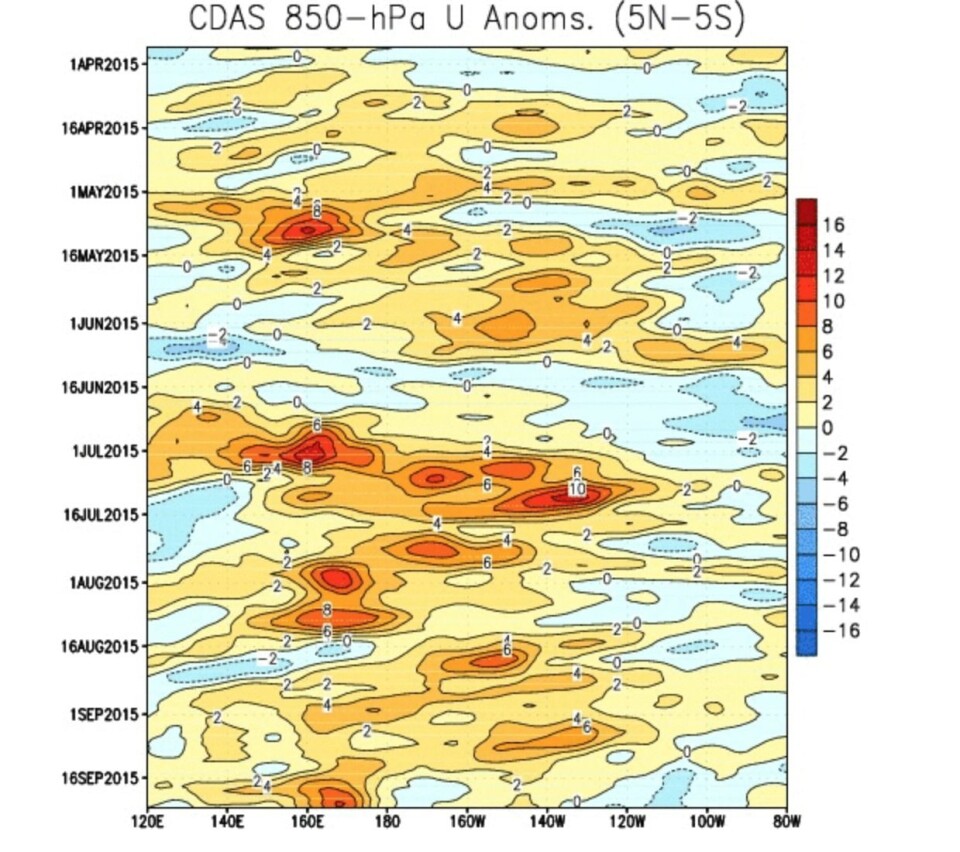 Det har vært et bittelite vestavindsutbrudd (oransje/rødt) ved 170 grader øst de siste dagene. (Bilde: NOAA)